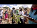 Scaling good agricultural practices and technologies