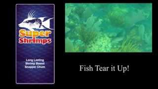 Fish Chum - Super Shrimps Chum short video