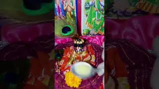 গোপু সোনা ❤️🌸 laddu gopal shorts video #laddugopal #youtubeshorts #viralvideo #shortvideo #youtube