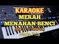 Karaoke MERAH MENAHAN BENCI_ Cip.Netty Sitompul - Nada Pria