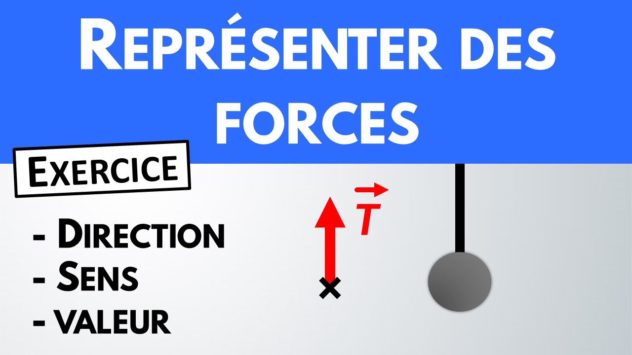 Comment Représenter Une Force ? ️ Exercice | Physique-Chimie - YouTube