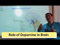 Role of dopamine in the brain وظائف الدوبامين في الدماغ