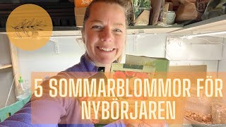 LÄTTDOLADE SOMMARBLOMMOR SOM GÖR SIG FINT I BUKETTER