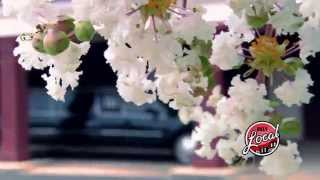 Faithful Friend Pet Crematory in Cleveland, TN