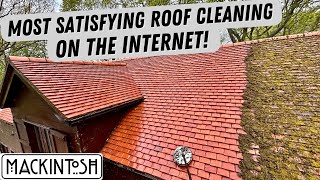 Most Satisfying Roof Cleaning On The Internet!