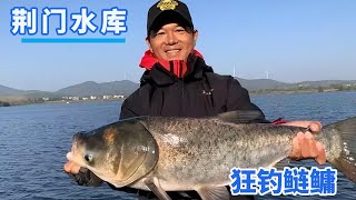 I heard that there are big silver carp and bighead carp here, let's see if it can be successful