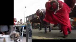 獅子舞vsコロ　2010　Lion Dance