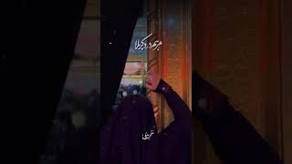 بیچاره ام  کرده کربلا #امام_حسین #حضرت_عباس #کربلا #اربعین_حسینی