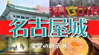 【女ひとり旅】名古屋城散策　金賞親子丼/徳川家康/金シャチ横丁/本丸御殿/