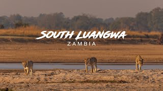 South Luangwa, Zambia | Photo Safari Highlights | 4k 100fps