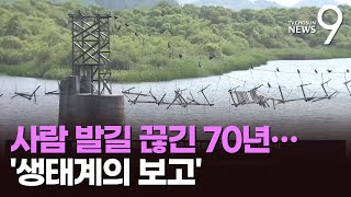 분단 70년 만에 열린 생태계 보물창고…DMZ 용양보 첫 개방