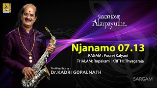 Njanamo... | Saxophone Alaipayuthe | Thrilling Sax by Dr.Kadri Gopalnath