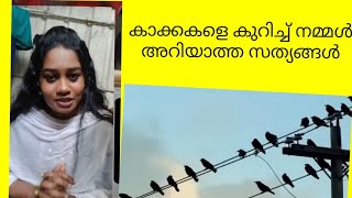 കാക്കകൾ ഇങ്ങനെയൊക്കെ ആയിരുന്നു എന്ന് അറിഞ്ഞില്ല