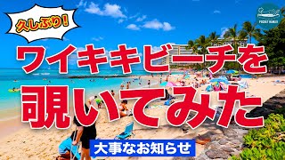 【頑張ろうハワイ！】久しぶりに賑わうワイキキ、カラカウア通りを歩いてみた【エアハワイ】【4K】