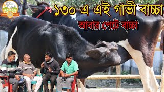 ১৩০ এ এই গাভী বাচ্চা ও পেটে বাচ্চা । দূরদূরান্তর কাস্টমার যা বলল ! জাকির ভাই মানেই পানির দাম market