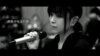 何色でもない花/宇多田ヒカル/Naniirodemonai Hana/Hikaru Utada/Lyrics/歌詞付き