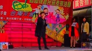 2013 02 24台灣米倉田中鎮長盃元宵節全國歌唱比賽 壯青組 初賽 王素美 滴滴答答的落雨聲