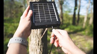 How to Use the Exodus SP18 Solar Panel for Trail Cameras