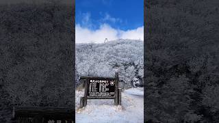 霧氷と雪の鶴見岳❄️別府ロープウェイ / Mt. Tsurumi in winter / Beppu Ropeway / #別府ロープウェイ #鶴見岳 #霧氷 #別府 #別府旅行