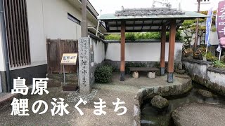 【一人旅】水の都・島原 鯉の泳ぐまちを散策【solo travel across Japan】