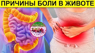 7 Серьёзных Причин БОЛИ В ЖИВОТЕ о Которых Вы Даже Не Подозреваете! 7 Поводов Обратиться к ВРАЧУ!