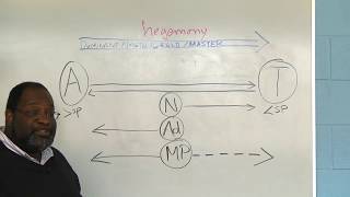Multipartiality chapter 2