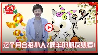 【大喜 | 玩玄】属羊看过来！解码农历11月运势！