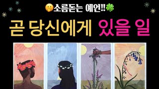 [타로]🙏🍀지금 당신에게 보이는 미래, 나의 운세는?🙂❤️