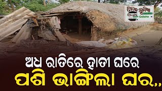 ଅଧ ରାତିରେ ହାତୀ ଘରେ ପଶି ଭାଙ୍ଗିଲା ଘର,,#bichitadunia