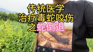 传统医学治疗蛇咬伤之蛇倒退，到底是哪个成分起作用？