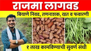 राजमा लागवड संपूर्ण माहिती / Rajma Lagvad sampurn mahiti (घेवडा लागवड माहिती)