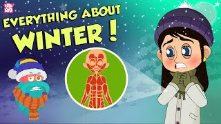 Everything About Winter Season | Snow | The Dr Binocs Show | Peekaboo Kidz