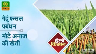 Hello Kisan || हैलो किसान : गेहूं फसल प्रबंधन और मोटे अनाज (श्रीअन्न) की खेती || January 01, 2024