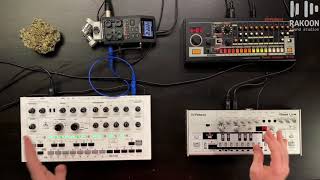 Avalon Bassline vs Roland TB03 Comparison (Rakoon Sound Studios Tips and Tricks)