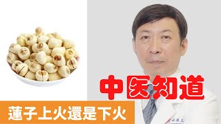 蓮子上火還是下火【保健養生】生生不息┃瀉火┃健脾利濕┃補腎澀精┃養心安神┃