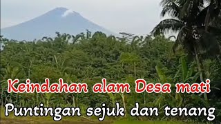 Keindahan alam sekitar Desa mati Puntingan Tegalrejo,Sejuk dan Tenang