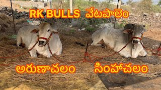 5వ జత మొర్జంపాడు 6 పళ్ళ విభాగం RK bulls ( అరుణాచలం - సింహాచలం )