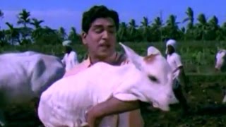 Lera Lera Lera O Raithanna - Akkineni Nageswara Rao, Vanisri - Iddaru Ammayilu