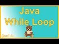 Java While Loop by Example - Java Programming Looping Structures Tutorial - Appficial