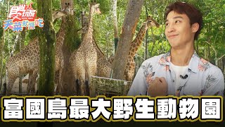 【越南 富國島】越南最大野生動物園【食尚玩家天菜就醬吃】20241107 (2/3)