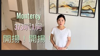 Monterey 臨海低密度住宅 1房373呎