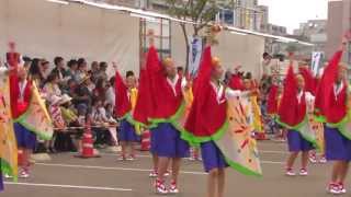 2013よさこい祭り　「上町よさこい鳴子連」