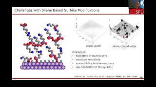 On the Formation and Study of Multifunctional Nanoprobes using Chemical Methods