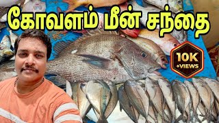 Kovalam Fish Market கோவளம் மீன் சந்தை #kovalamfishmarket #fishmarket #kovalammeenmarket