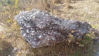 Conglomerate rocks| live demonstration||Types of rocks||