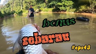 tahan jaring ikan sungai.rezeki kenerak saiz padu.#eps43