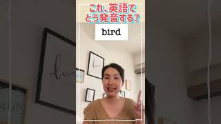 これ、英語でどう発音する？”bird”の発音　カタカナ英語卒業🎓！#フォニックス #英単語 #英単語の覚え方 #英語初心者 #英語発音 #フォニックス #大人のフォニックス