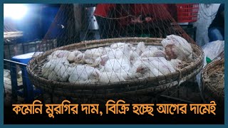 কমেনি মুরগির দাম, বিক্রি হচ্ছে আগের দামেই | Latest Bangla News | Dhaka Post