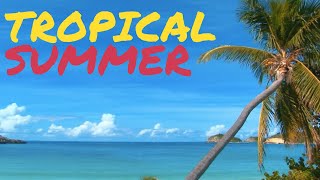 Tropical Summer Upbeat Background Music 1 Hour