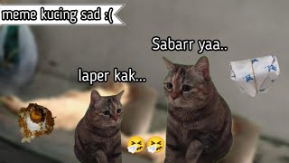 Kisah sedih adik kakak hidup dijalanan || meme kucing sad :(